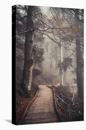 A Ride in the Woods-Philippe Sainte-Laudy-Stretched Canvas