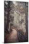 A Ride in the Woods-Philippe Sainte-Laudy-Mounted Photographic Print