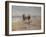 A Ride on the Beach, Dublin-Heywood Hardy-Framed Giclee Print