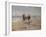 A Ride on the Beach, Dublin-Heywood Hardy-Framed Giclee Print