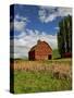 A Ride Through the Farm Country of Palouse, Washington State, USA-Joe Restuccia III-Stretched Canvas