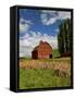 A Ride Through the Farm Country of Palouse, Washington State, USA-Joe Restuccia III-Framed Stretched Canvas