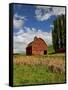 A Ride Through the Farm Country of Palouse, Washington State, USA-Joe Restuccia III-Framed Stretched Canvas