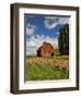 A Ride Through the Farm Country of Palouse, Washington State, USA-Joe Restuccia III-Framed Photographic Print