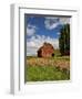 A Ride Through the Farm Country of Palouse, Washington State, USA-Joe Restuccia III-Framed Photographic Print