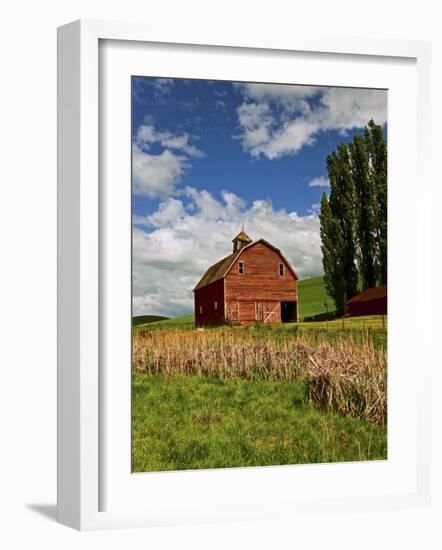 A Ride Through the Farm Country of Palouse, Washington State, USA-Joe Restuccia III-Framed Photographic Print