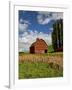 A Ride Through the Farm Country of Palouse, Washington State, USA-Joe Restuccia III-Framed Photographic Print