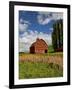 A Ride Through the Farm Country of Palouse, Washington State, USA-Joe Restuccia III-Framed Photographic Print