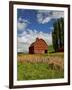 A Ride Through the Farm Country of Palouse, Washington State, USA-Joe Restuccia III-Framed Photographic Print