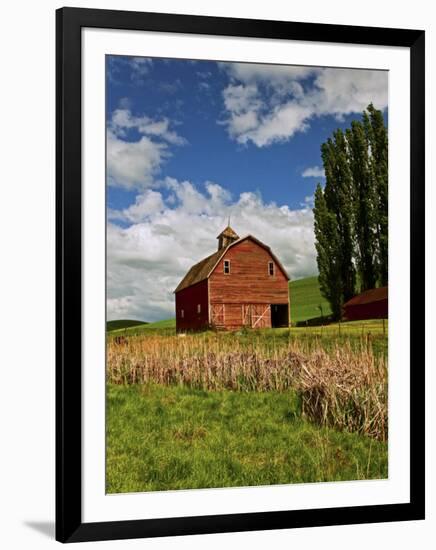 A Ride Through the Farm Country of Palouse, Washington State, USA-Joe Restuccia III-Framed Photographic Print