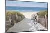 A Ride to the Beach-Zhen-Huan Lu-Mounted Giclee Print