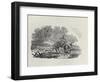 A Rider Distracted by a Flock of Birds (Wood Engravin)-Thomas Bewick-Framed Giclee Print