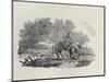 A Rider Distracted by a Flock of Birds (Wood Engravin)-Thomas Bewick-Mounted Giclee Print