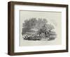 A Rider Distracted by a Flock of Birds (Wood Engravin)-Thomas Bewick-Framed Premium Giclee Print