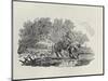 A Rider Distracted by a Flock of Birds (Wood Engravin)-Thomas Bewick-Mounted Premium Giclee Print