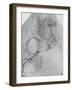 'A Rider on a Rearing Horse', c1480 (1945)-Leonardo Da Vinci-Framed Giclee Print