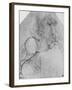 'A Rider on a Rearing Horse', c1480 (1945)-Leonardo Da Vinci-Framed Giclee Print