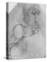 'A Rider on a Rearing Horse', c1480 (1945)-Leonardo Da Vinci-Stretched Canvas