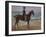 A Rider on the Shore-Max Liebermann-Framed Giclee Print