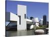 A Ring-Billed Gull Takes Flight in Front of the Rock and Roll Hall of Fame and Museum-null-Stretched Canvas