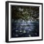 A River in a Forest, Ritsa Nature Reserve, Abkhazia, Georgia-null-Framed Photographic Print