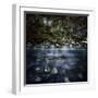 A River in a Forest, Ritsa Nature Reserve, Abkhazia, Georgia-null-Framed Photographic Print