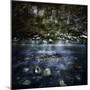 A River in a Forest, Ritsa Nature Reserve, Abkhazia, Georgia-null-Mounted Photographic Print