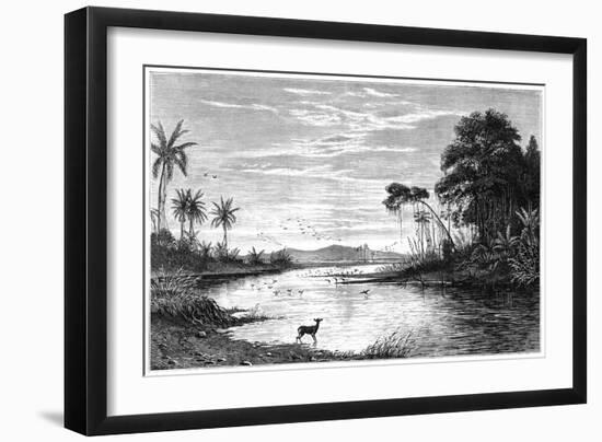 A River Scene in Venezuela, 1877-null-Framed Giclee Print