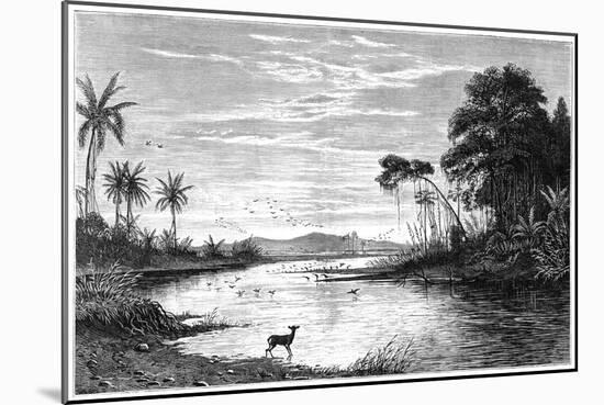 A River Scene in Venezuela, 1877-null-Mounted Giclee Print