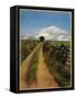 A Road in Galway-Helen J. Vaughn-Framed Stretched Canvas