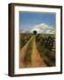 A Road in Galway-Helen J. Vaughn-Framed Giclee Print