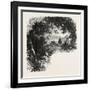 A Road in Maryland, USA, 1870s-null-Framed Giclee Print