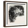 A Road in Maryland, USA, 1870s-null-Framed Giclee Print