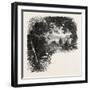 A Road in Maryland, USA, 1870s-null-Framed Giclee Print