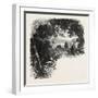 A Road in Maryland, USA, 1870s-null-Framed Giclee Print