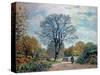 A Road in Seine-Et-Marne, 1878-Alfred Sisley-Stretched Canvas