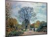 A Road in Seine-Et-Marne, 1878-Alfred Sisley-Mounted Giclee Print
