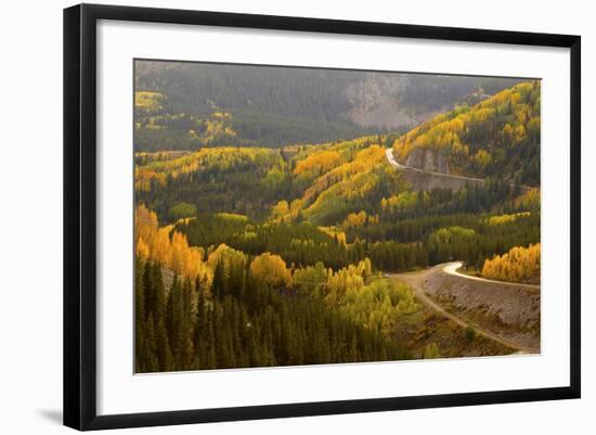 A Road Meanders Through the Brilliant Fall Colors of the San Juan Mountains of Colorado-John Alves-Framed Photographic Print