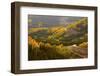 A Road Meanders Through the Brilliant Fall Colors of the San Juan Mountains of Colorado-John Alves-Framed Photographic Print