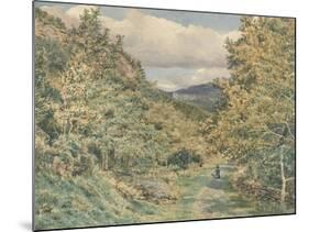 A Road Near Bettws-Y-Coed, 1851 (W/C over Graphite on Paper)-George Price Boyce-Mounted Giclee Print