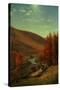A Road Through Belvedere, Vermont-Thomas Worthington Whittredge-Stretched Canvas