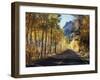 A Road Through the Autumn Colors of Aspen Trees in the June Lake Loop-Christopher Talbot Frank-Framed Photographic Print