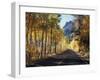 A Road Through the Autumn Colors of Aspen Trees in the June Lake Loop-Christopher Talbot Frank-Framed Photographic Print