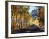 A Road Through the Autumn Colors of Aspen Trees in the June Lake Loop-Christopher Talbot Frank-Framed Photographic Print