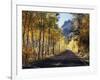 A Road Through the Autumn Colors of Aspen Trees in the June Lake Loop-Christopher Talbot Frank-Framed Photographic Print