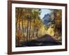 A Road Through the Autumn Colors of Aspen Trees in the June Lake Loop-Christopher Talbot Frank-Framed Photographic Print