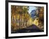 A Road Through the Autumn Colors of Aspen Trees in the June Lake Loop-Christopher Talbot Frank-Framed Photographic Print