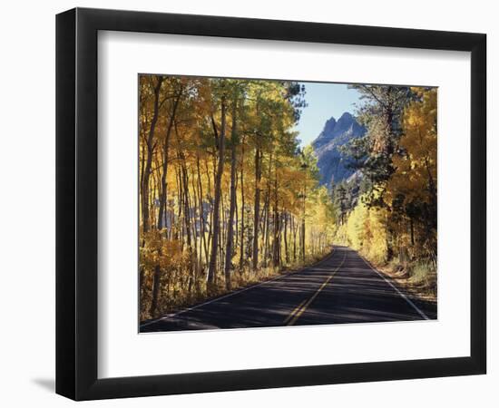 A Road Through the Autumn Colors of Aspen Trees in the June Lake Loop-Christopher Talbot Frank-Framed Photographic Print