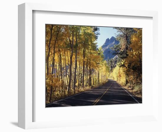 A Road Through the Autumn Colors of Aspen Trees in the June Lake Loop-Christopher Talbot Frank-Framed Photographic Print