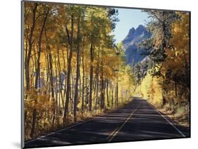 A Road Through the Autumn Colors of Aspen Trees in the June Lake Loop-Christopher Talbot Frank-Mounted Photographic Print